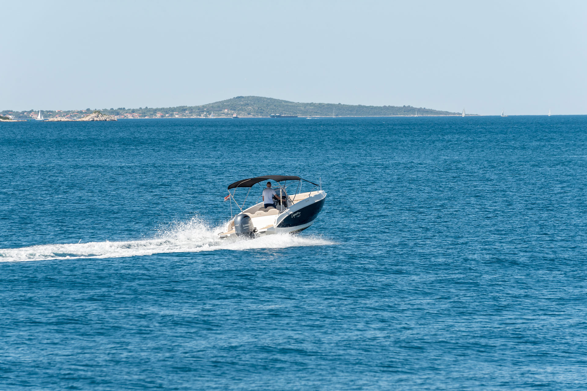 Palm boat rent